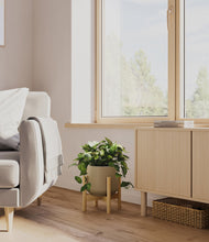 Load image into Gallery viewer, Olive stand:bamboo