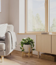 Load image into Gallery viewer, Eternal Gray stand:bamboo