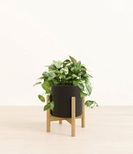 Load image into Gallery viewer, Black stand:bamboo