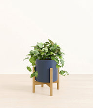 Load image into Gallery viewer, Deep Navy stand:bamboo