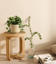 Load image into Gallery viewer, Almond Green