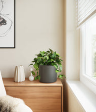 Load image into Gallery viewer, Dark Olive