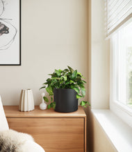 Load image into Gallery viewer, Black