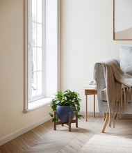 Load image into Gallery viewer, Deep Navy stand:walnut