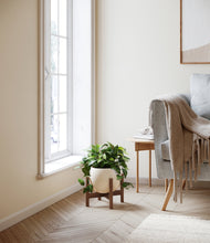 Load image into Gallery viewer, Shiny EggWhite stand:walnut