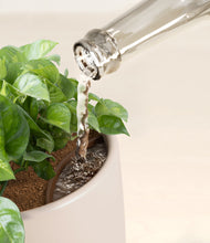 Load image into Gallery viewer, Eternal Gray stand:all