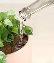 Load image into Gallery viewer, Gentle Pink stand:all