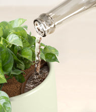 Load image into Gallery viewer, Turquoise stand:all