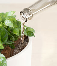 Load image into Gallery viewer, White stand:all