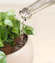 Load image into Gallery viewer, Desert Brown stand:all