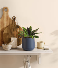 Load image into Gallery viewer, Deep Navy