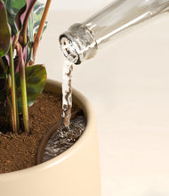 Load image into Gallery viewer, Sandy stand:all