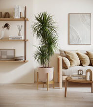 Load image into Gallery viewer, Sandy Pink stand:bamboo