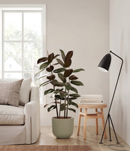 Load image into Gallery viewer, Sage Green