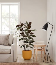 Load image into Gallery viewer, Sunset Orange