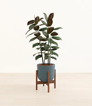 Load image into Gallery viewer, Iron Gray stand:walnut