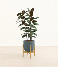 Load image into Gallery viewer, Iron Gray stand:bamboo