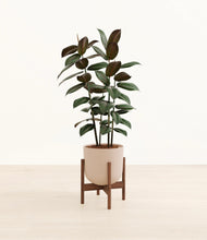 Load image into Gallery viewer, Sandy Pink stand:walnut