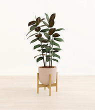 Load image into Gallery viewer, Sandy Pink stand:bamboo