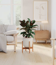 Load image into Gallery viewer, Natural Bamboo stand:bamboo