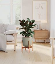 Load image into Gallery viewer, Sage Green stand:bamboo