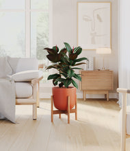 Load image into Gallery viewer, Earth Red stand:bamboo