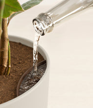 Load image into Gallery viewer, Natural Bamboo stand:all