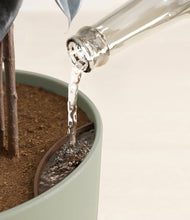 Load image into Gallery viewer, Sage Green stand:all