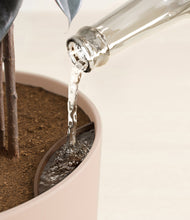 Load image into Gallery viewer, Sandy Pink stand:all