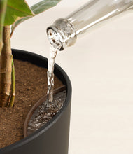 Load image into Gallery viewer, Stone Black stand:all