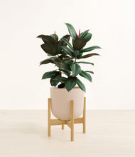 Load image into Gallery viewer, Sandy Pink stand:bamboo