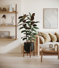 Load image into Gallery viewer, Stone Black stand:walnut