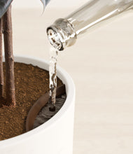 Load image into Gallery viewer, Earthy stand:all