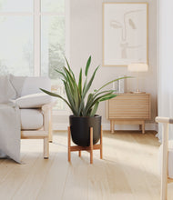 Load image into Gallery viewer, Stone Black stand:bamboo