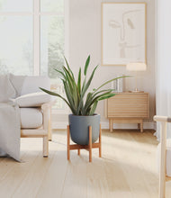 Load image into Gallery viewer, Iron Gray stand:bamboo