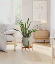 Load image into Gallery viewer, Sage Green stand:bamboo