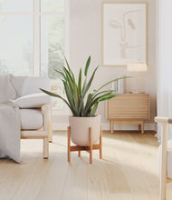 Load image into Gallery viewer, Sandy Pink stand:bamboo