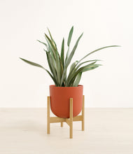 Load image into Gallery viewer, Earth Red stand:bamboo