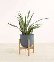 Load image into Gallery viewer, Iron Gray stand:bamboo