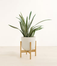Load image into Gallery viewer, Natural Bamboo stand:bamboo