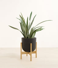 Load image into Gallery viewer, Stone Black stand:bamboo