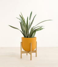 Load image into Gallery viewer, Sunset Orange stand:bamboo