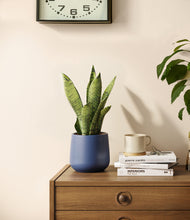 Load image into Gallery viewer, Deep Navy