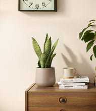 Load image into Gallery viewer, Eternal Gray