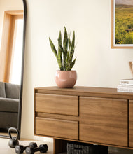 Load image into Gallery viewer, Calm Rose