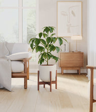 Load image into Gallery viewer, Natural Bamboo stand:walnut