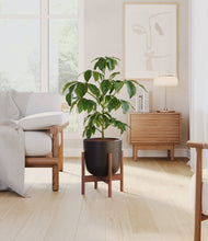 Load image into Gallery viewer, Stone Black stand:walnut