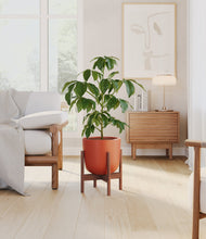 Load image into Gallery viewer, Earth Red stand:walnut