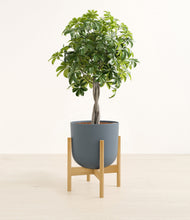 Load image into Gallery viewer, Iron Gray stand:bamboo