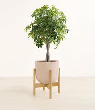 Load image into Gallery viewer, Sandy Pink stand:bamboo